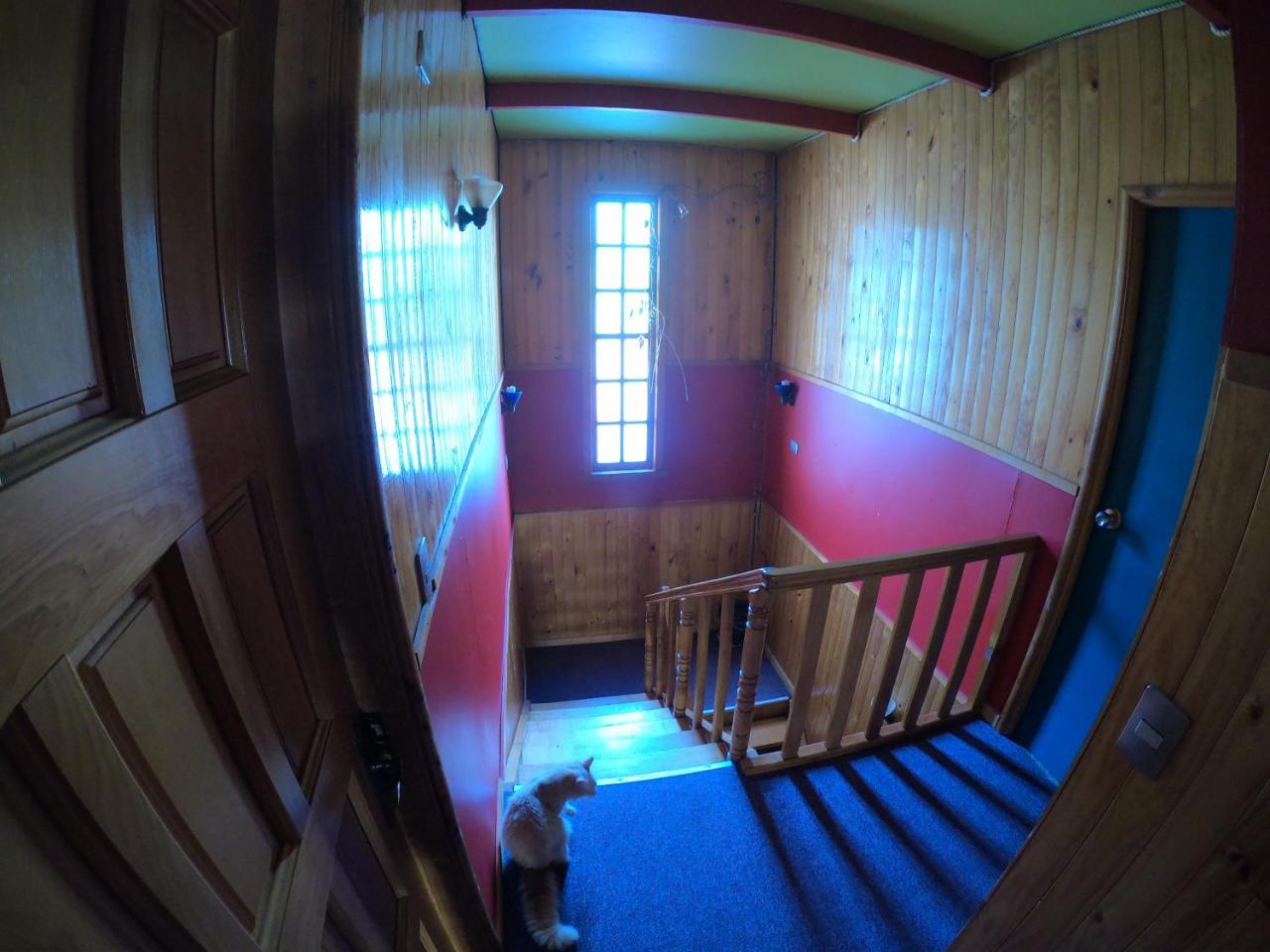 Hostel Profe Nelson Puerto Cisnes Zewnętrze zdjęcie